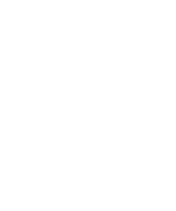 DNV Logo